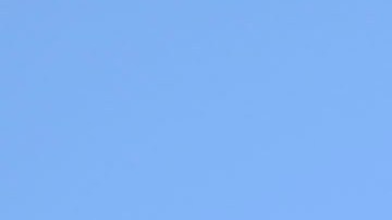 Herrera tiene más de 40 partidos en la MLS.