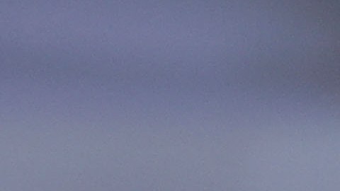 Néstor Araujo.
