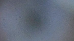 Las Chivas marchan en el tercer lugar de la Liga MX.