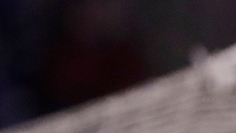 Puebla derrotó 3-0 a los Xolos de Tijuana.