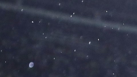 Julián Quiñones con las Águilas del América.