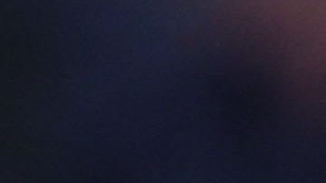 Salcedo ha sido cuestionado por su actitud.