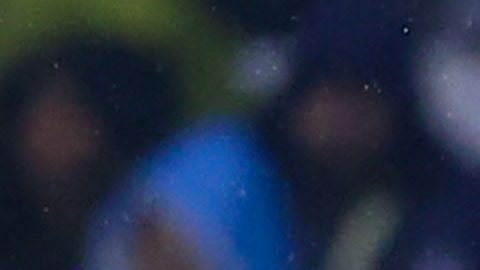 Igor Lichnovsky se lució en su estreno con las Águilas del América.