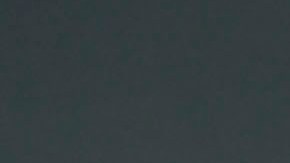 César huerta y sus compañeros celebran el triunfo de Pumas.