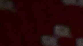 Atlético San Luis durante el Torneo Apertura 2023 de la Liga MX.