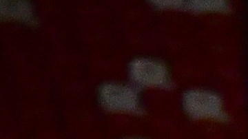 Atlético San Luis durante el Torneo Apertura 2023 de la Liga MX.