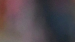 Veljko Paunovic, entrenador de las Chivas de Guadalajara.