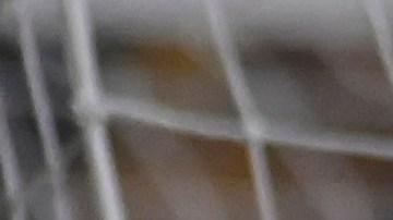 André Pierre Gignac con Tigres.