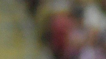 Chivas perdió 1-3 contra Mazatlán FC en el Estadio Akron.