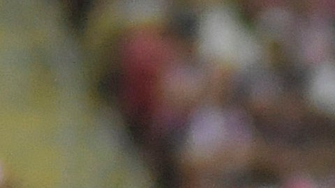 Chivas perdió 1-3 contra Mazatlán FC en el Estadio Akron.