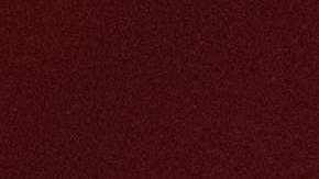 Carolyn Adams, nuera de López Obrador