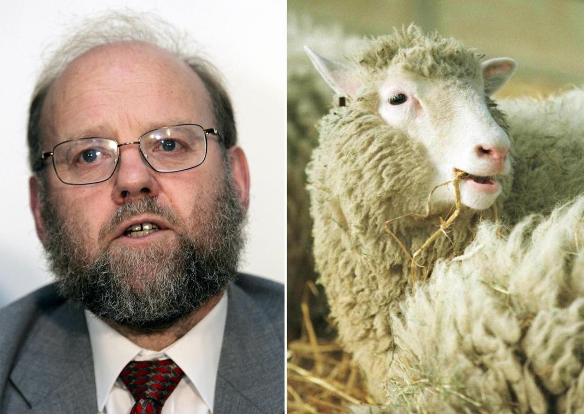 Murió el científico británico Ian Wilmut, quien clonó a la oveja Dolly.
