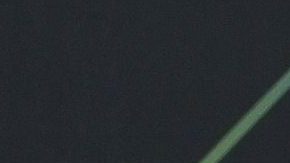 Ozuna y Tania Meléndez en el Latin Grammy.