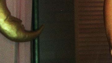 Susanna Gibson ganó una primaria demócrata en junio