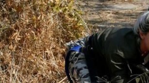 Decenas de civiles de origen armenio se han involucrado en el conflicto por Nagorno Karabaj.
