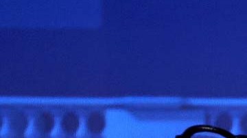 Ron DeSantis, actual gobernador de Florida