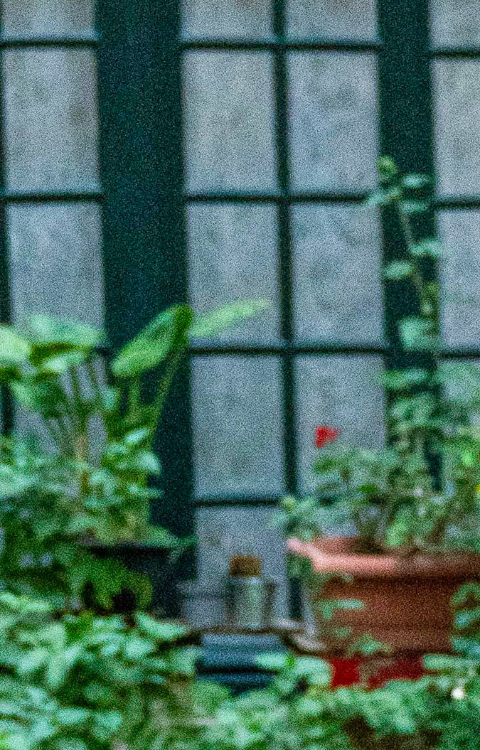 Rosalía por las calles de París.