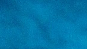 Salvador y Flor Palacios con su reciente creación: “Salvadores Mezcal Artesanal”.