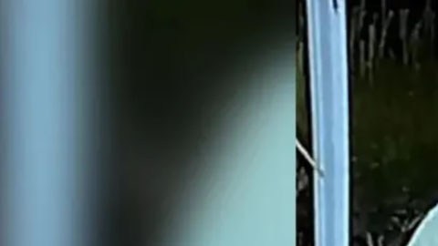 Danelo Cavalcante