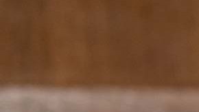 Ted Cruz puso sobre la mesa una opción que cambiaría el rumbo de las elecciones presidenciales