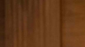 Tim Scott, senador por Carolina del Sur