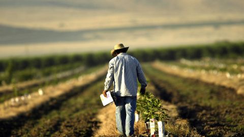Trabajador hispano calor