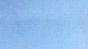 Donald Trump, exmandatario de la nación