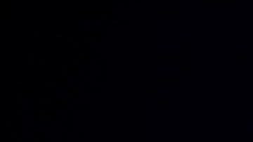 Donald Trump fue derrotado por Joe Biden en Michigan, en 2020