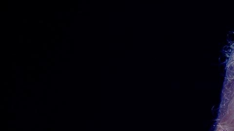 Donald Trump fue derrotado por Joe Biden en Michigan, en 2020