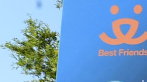 El Museo Autry en Griffith Park albergó un total de 219 perritos en la función