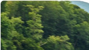 Volkswagen presenta su todocamino.