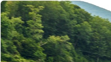 Volkswagen presenta su todocamino.
