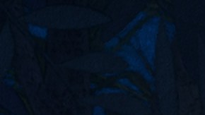 Asha y Star, dos de los protagonistas de Wish, la nueva película de Disney.