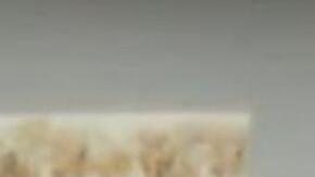 Los sospechosos sometieron a las víctimas a punta de pistola.