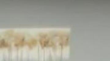 Los sospechosos sometieron a las víctimas a punta de pistola.