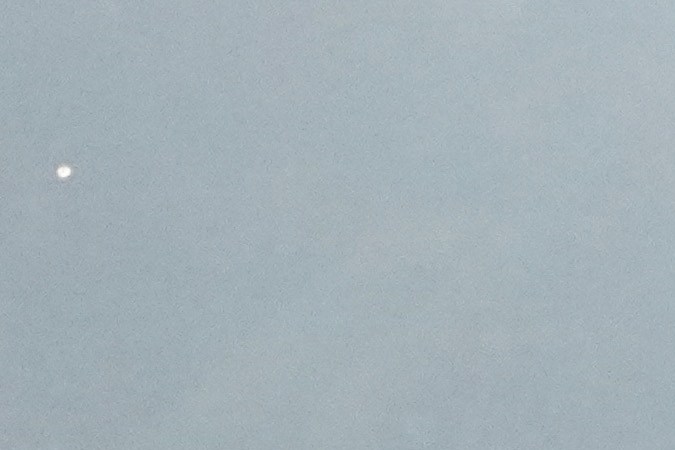 Los Tigres ganaron otra copa, esta vez la Campeones Cup 2023, en Los Ángeles. /Foto: EFE