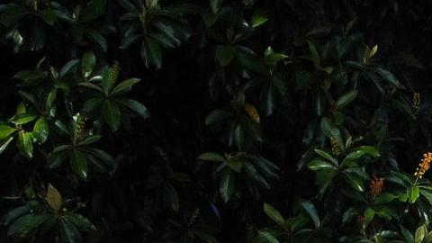 Casi 6.000 migrantes se enfrentaron a las autoridades en la frontera sur de México