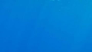 Los inesperados hallazgos científicos descubiertos gracias a los sensores de bombas nucleares en el fondo del océano