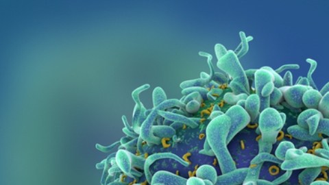 Científicos creen que una vitamina puede transformar las células asesinas naturales en una terapia contra el cáncer