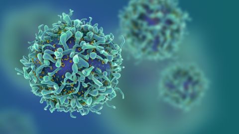 Científicos creen que una vitamina puede transformar las células asesinas naturales en una terapia contra el cáncer