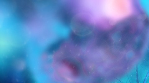 Científicos descubren una nueva célula en el cerebro clave para luchar contra el alzhéimer: de qué se trata