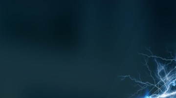 Estudio con pollitos revela la capacidad del cerebro para reconocer rostros