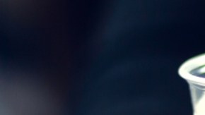 Algunos ingredientes de la cerveza pueden mejorar tu salud intestinal