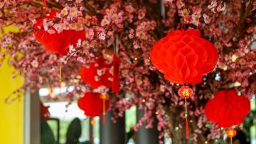 zodiaco chino prosperidad amor