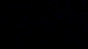 Chiquis rindió homenaje a la fallecida Jenni Rivera en Monterrey.