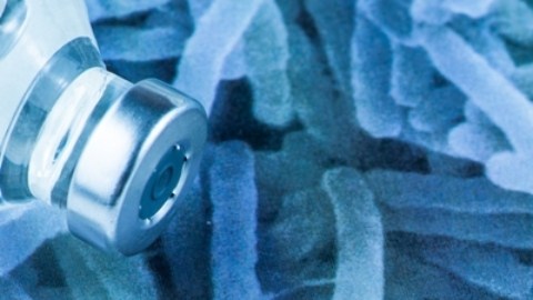 OMS afirma que el cólera está aumentando en el mundo