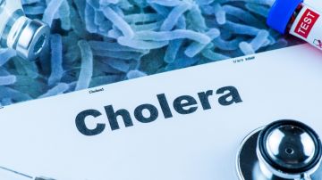 OMS afirma que el cólera está aumentando en el mundo