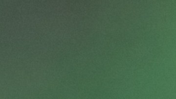 Jamaica declara brote de dengue con más de 500 casos de la enfermedad