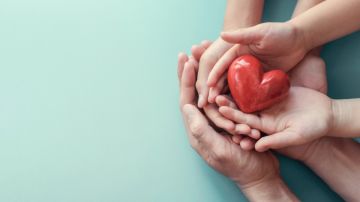 Día Mundial del Corazón 2023: por qué es importante cuidar la salud cardiovascular