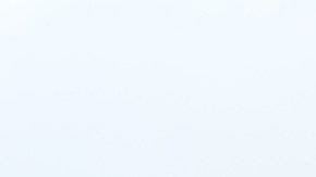 Los gatos con una dieta vegana son más saludables que los carniveros, según una investigación